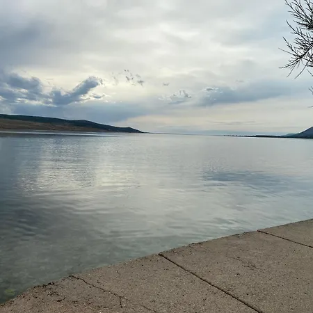 Mares * ロバニスカ